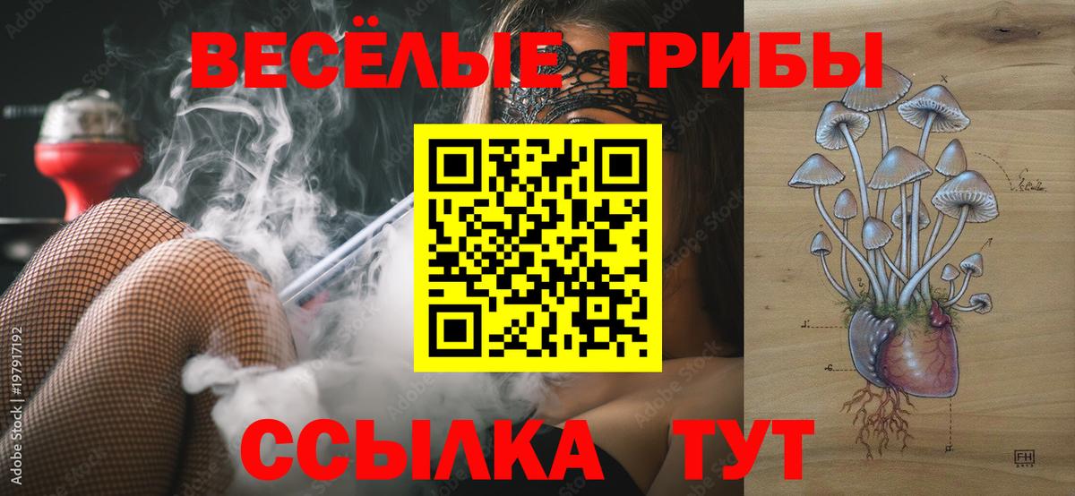 Родники  купить наркотик  Вход с VPN  Галлюциногенные грибы мицелий 